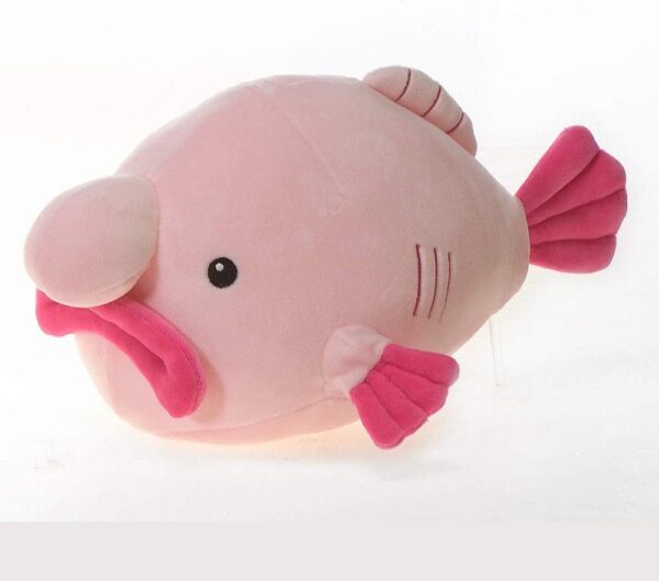fiestablobfish